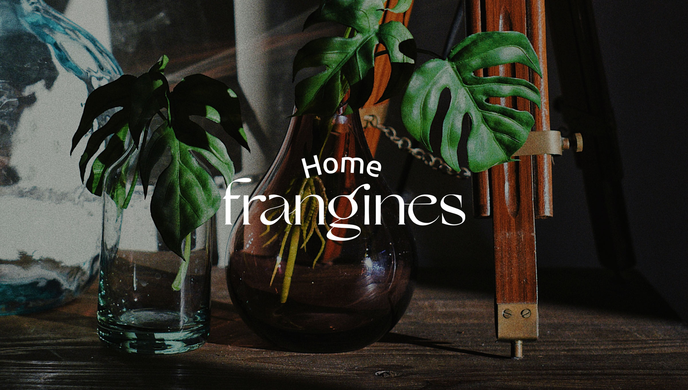 Home Frangines