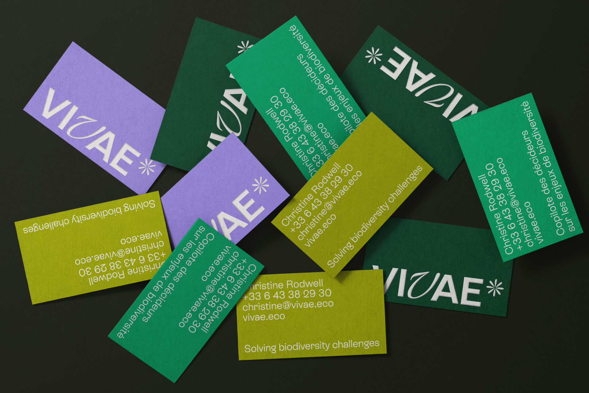vivae-cdv-1920×1281 vivae-cdv-1920×1281