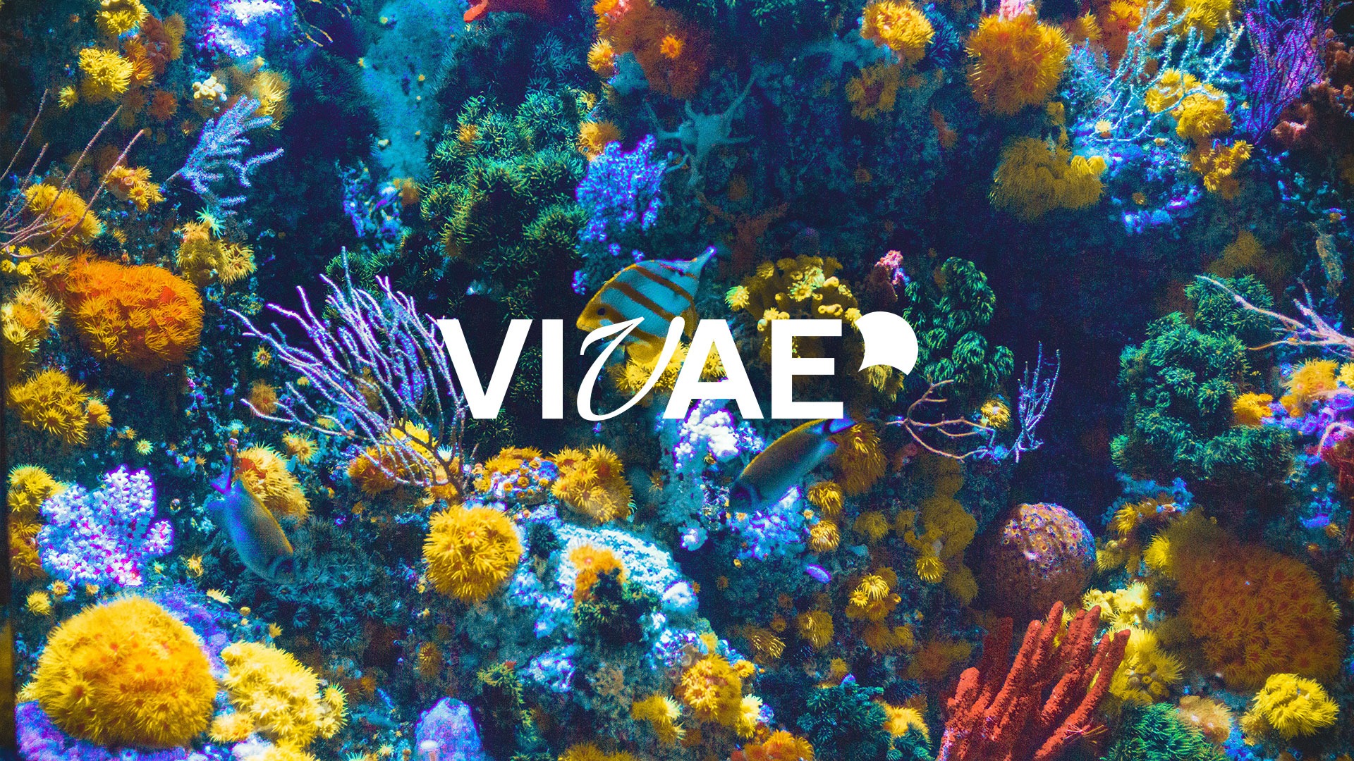 vivae-visuel-siteju-01