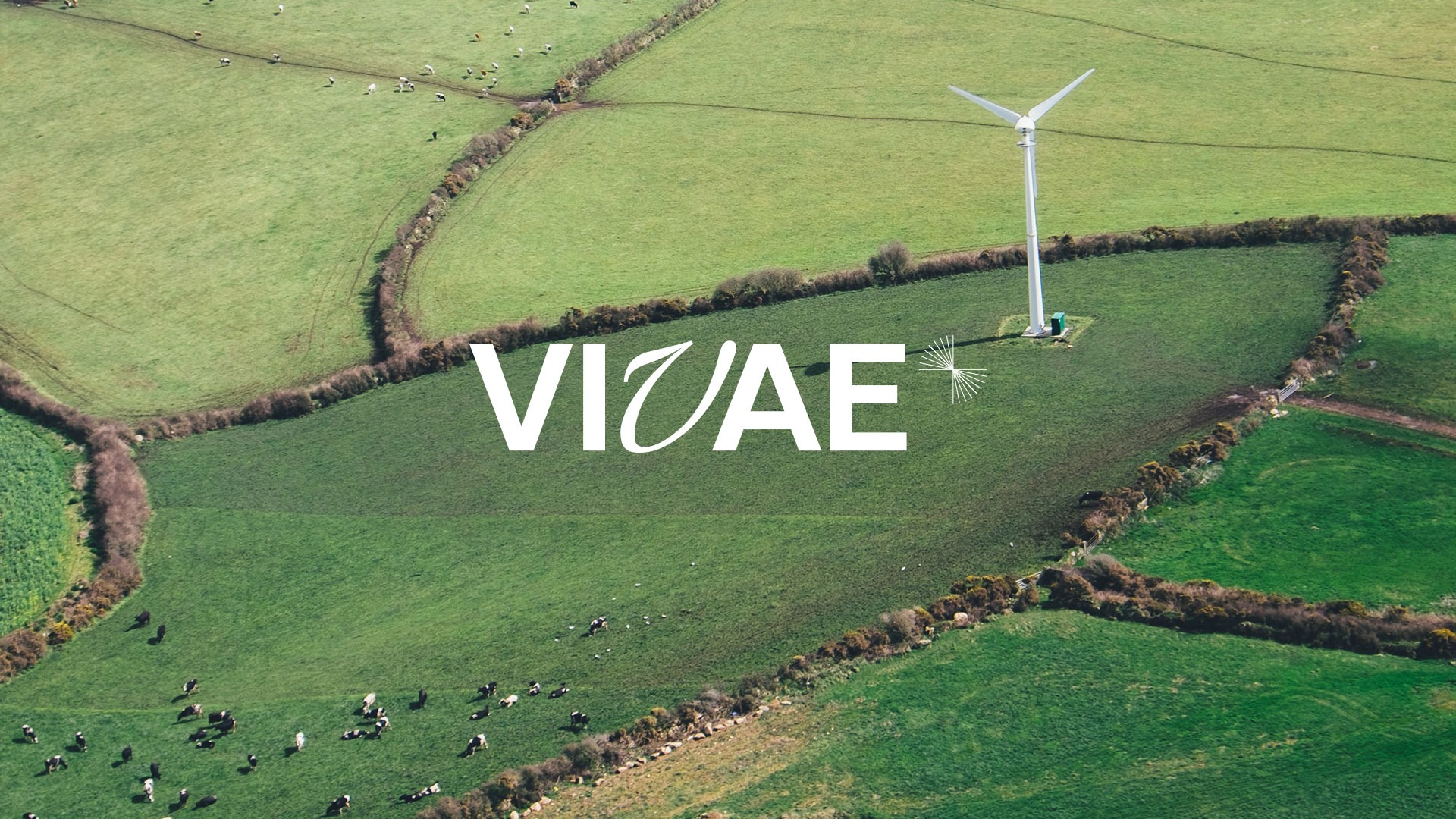 vivae-visuel-siteju-05