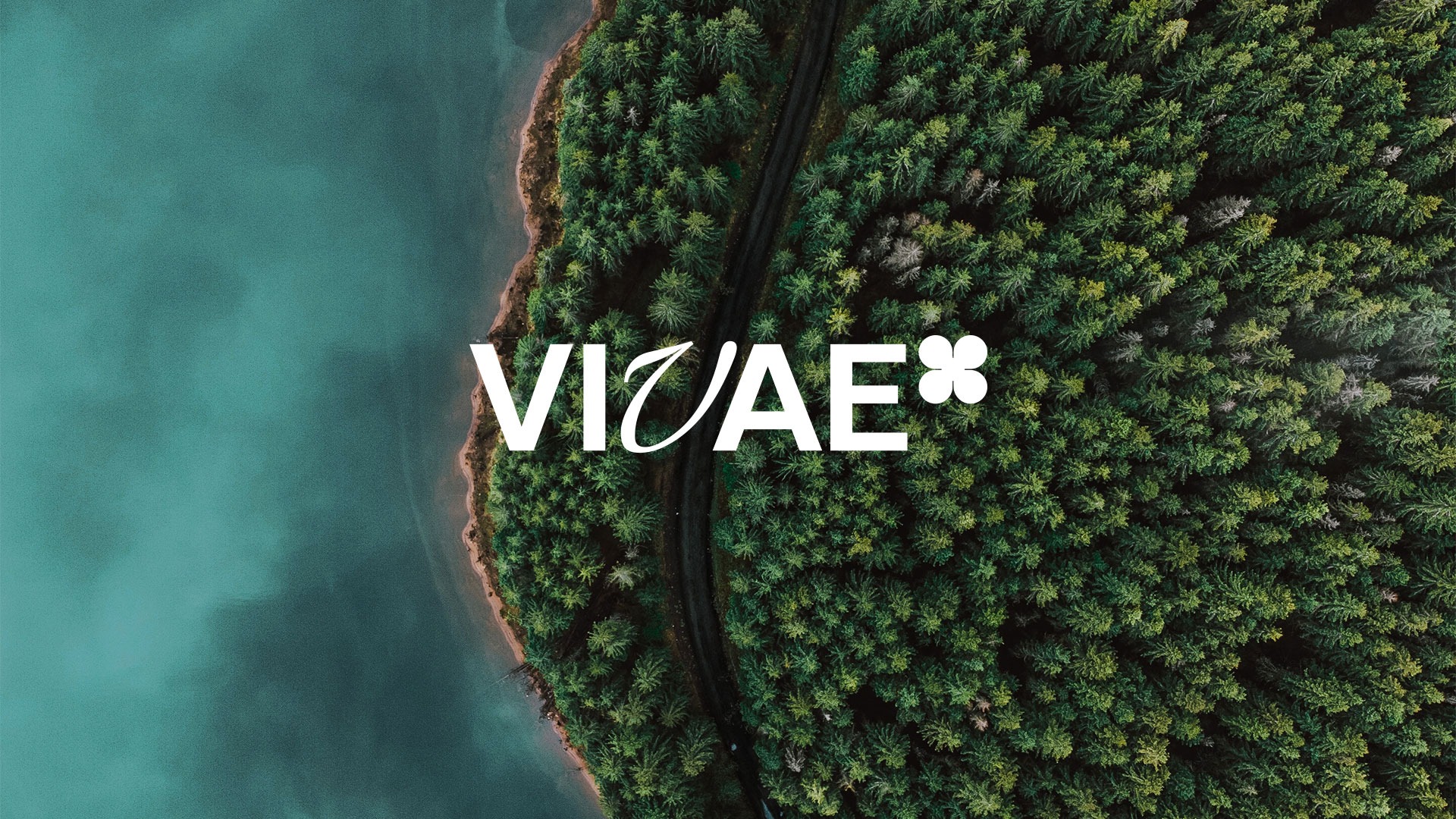 vivae-visuel-siteju-06
