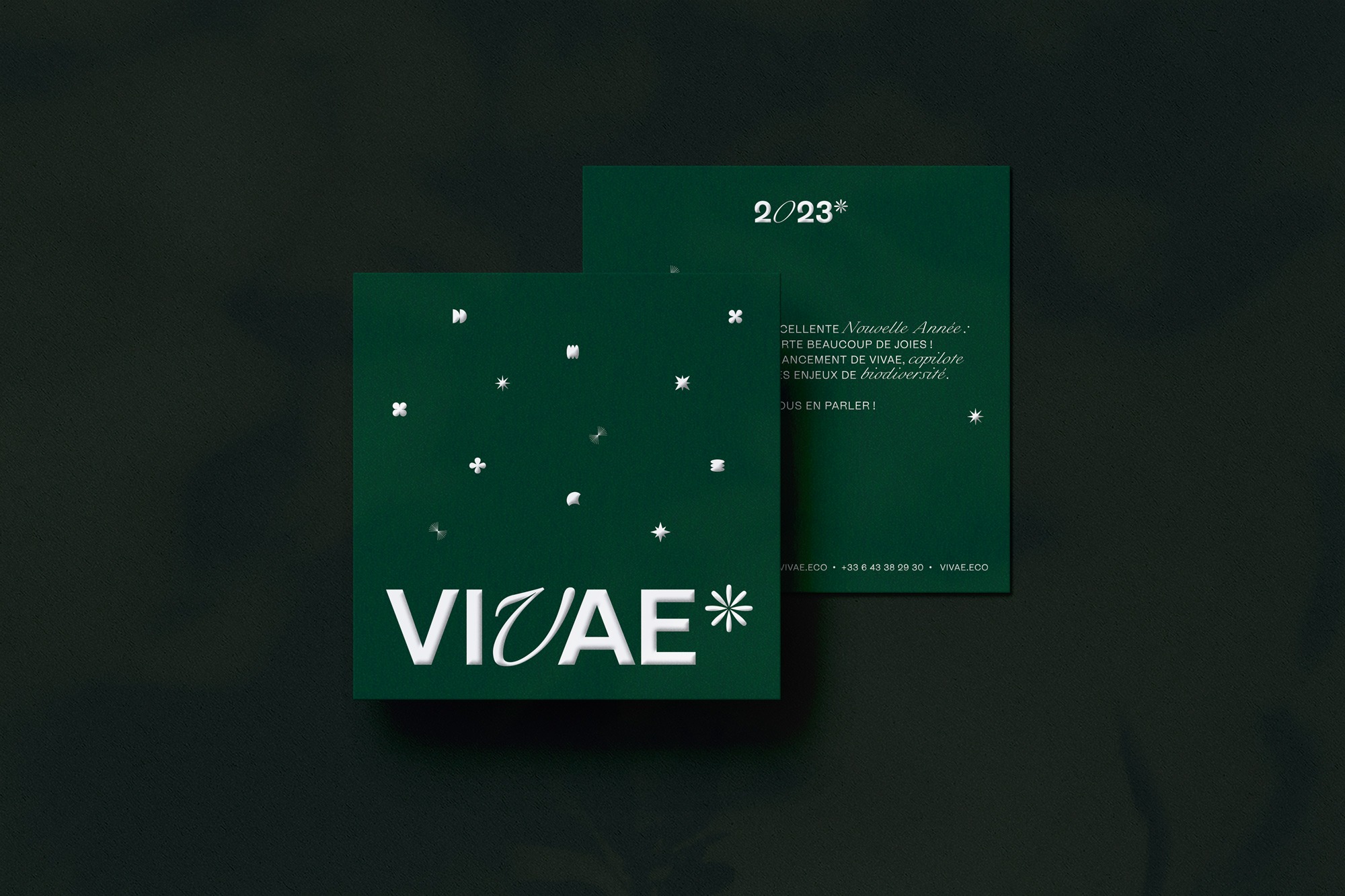 vivae-voeux-01-1 vivae-voeux-01-1