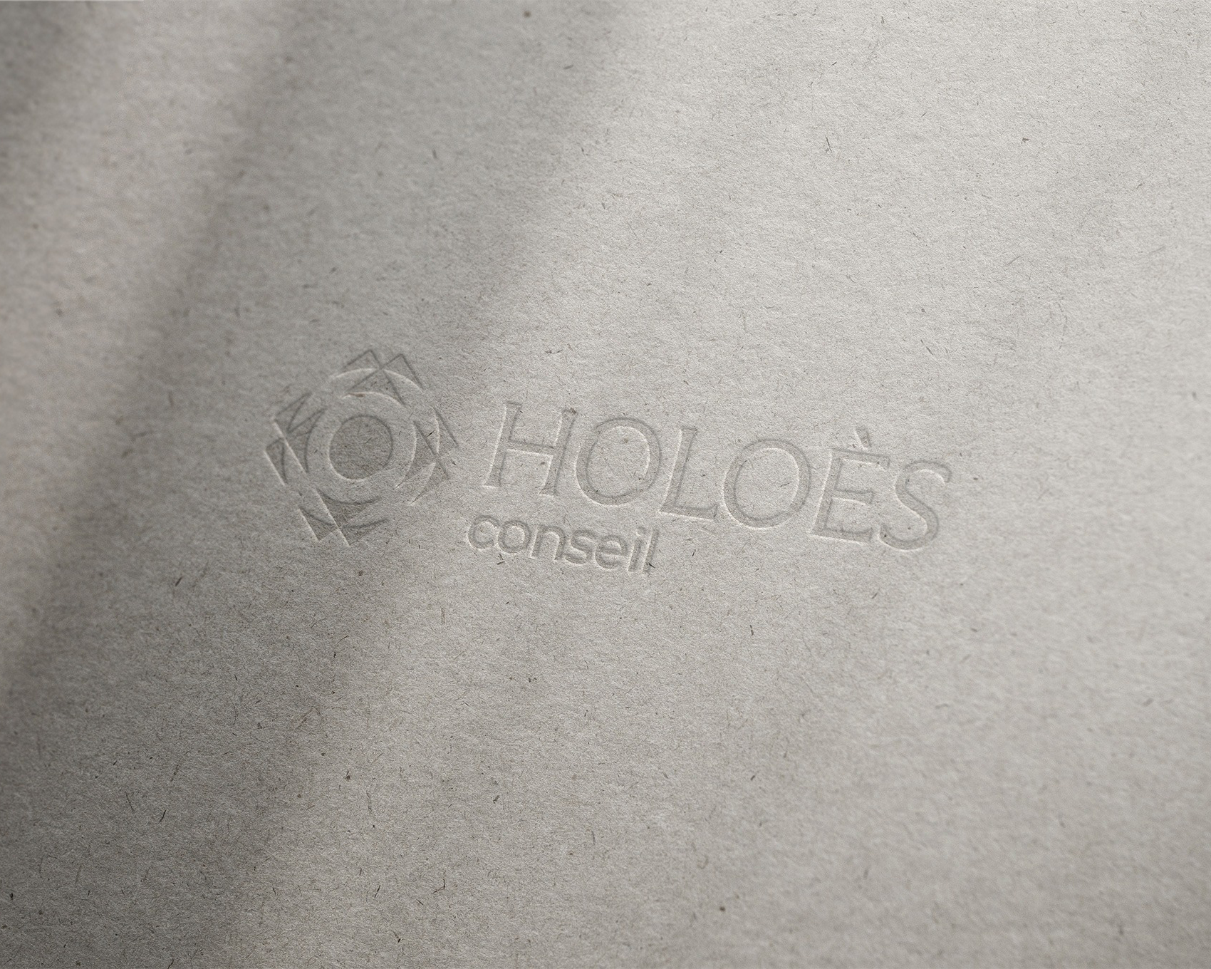 imgi_1_couv-holoes copie