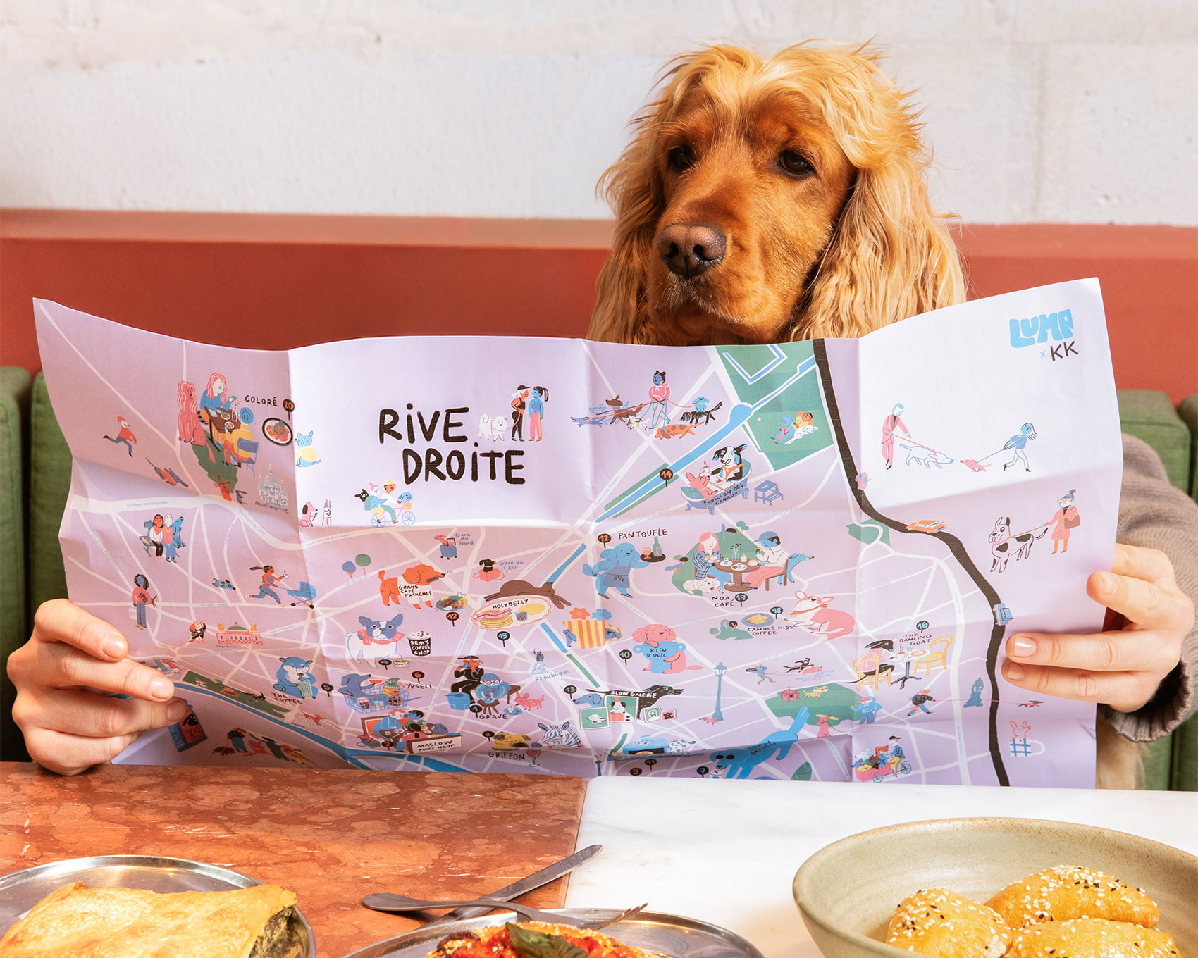 Lump Map des lieux dogfriendly